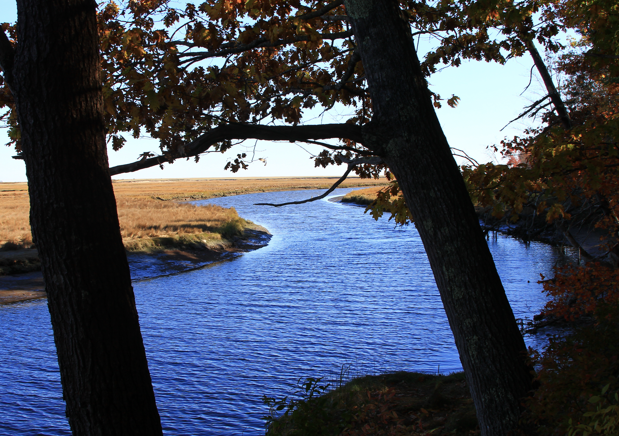 Stunning views at Wells Reserve at Laudholm, one of the best Southern Maine coastal hikes.